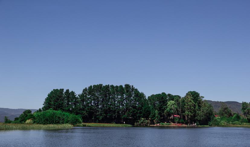 f97f256f-acaf-4f5c-8eb0-3f1c9b5532c9