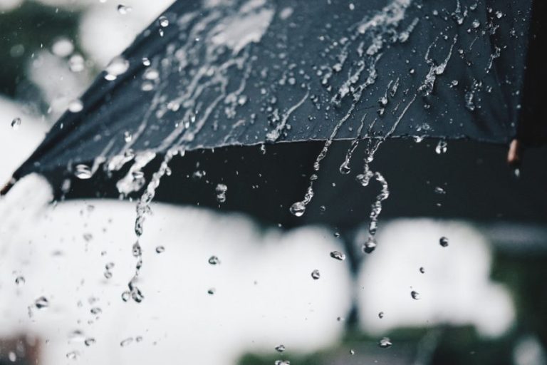 Se actualiza Alerta Temprana Preventiva para la Región de Los Ríos por precipitaciones