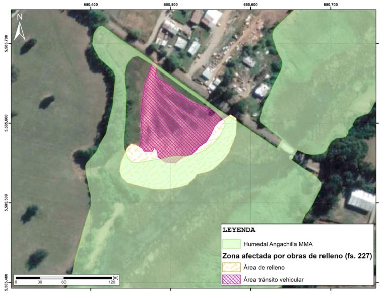 Tribunal Ambiental acogió demanda y determinó que hubo daño ambiental en el Humedal Angachilla