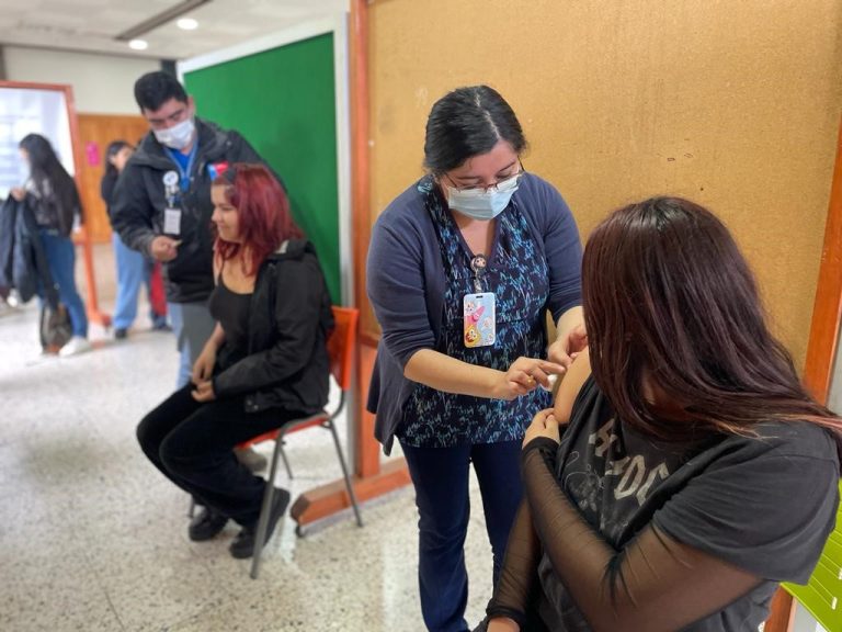 Seremi de Salud y Colegio de Enfermeras se unen para potenciar la campaña de vacunación contra la Influenza