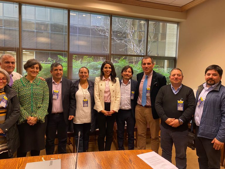 Senadora Gatica y autoridades de Lanco se reúnen con ministra de Salud para solicitar mayores recursos y mantener la urgencia en la comuna