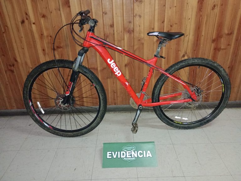 Hombre fue detenido tras robo frustrado a local comercial en Mariquina