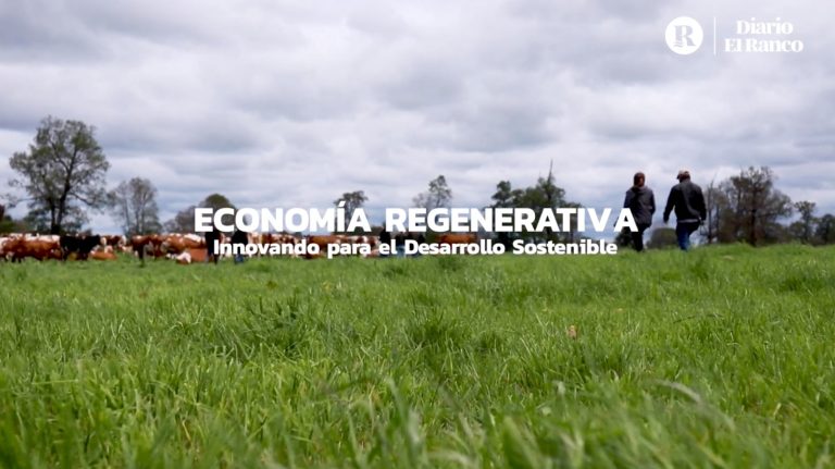 #FFMCS2023 Diario El Ranco:  Capítulo 1 ¿Qué es la Economía Regenerativa?