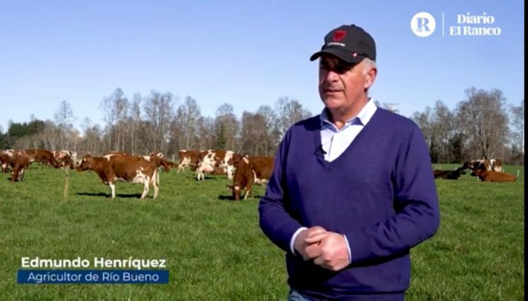 #FFMCS2023 Diario El Ranco | Capítulo 4: Nuevas formas de producir leche