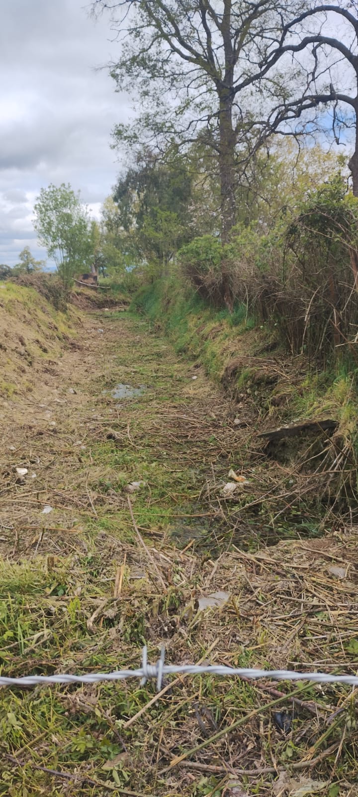 Denuncian muerte del estero Molgue en La Unión