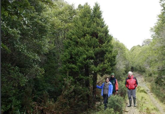Autoridades comentan cambio en el proyecto de la ruta que unirá a La Unión y Corral