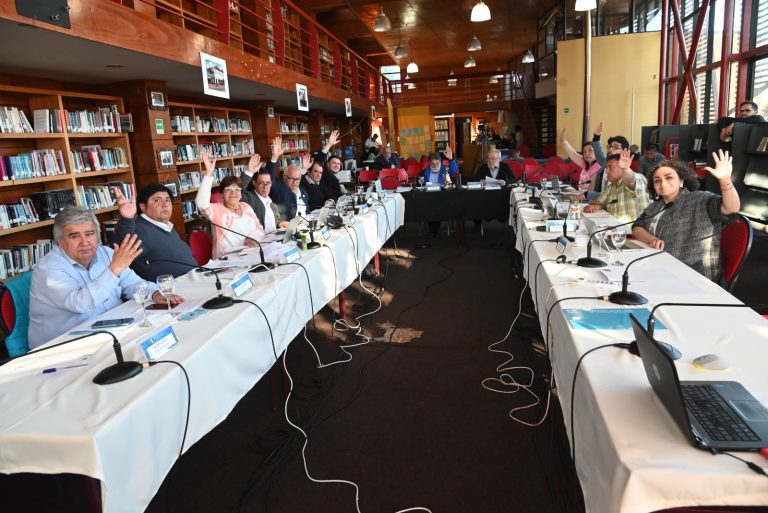 CORE Los Ríos aprobó recursos para el mejoramiento del Parque Saval de Valdivia