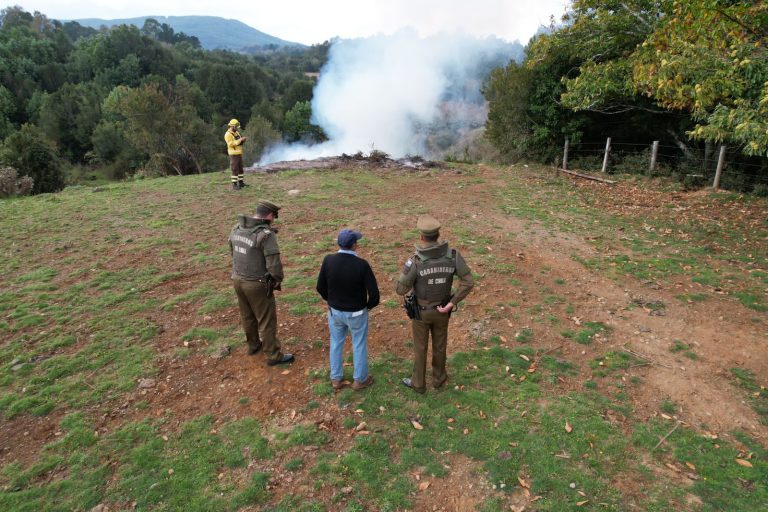 CONAF Los Ríos informa últimos días para quemas controladas período 2023-2024  
