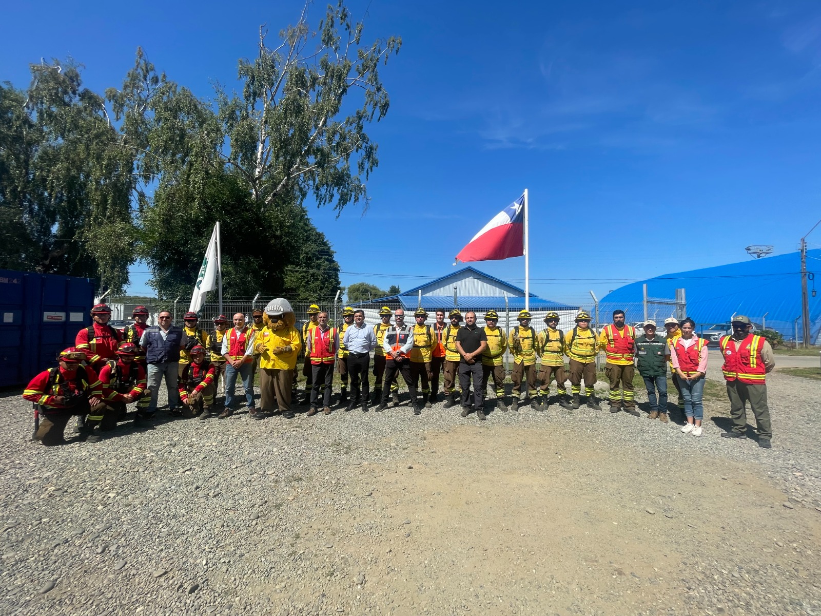 Conmemoran Día Nacional de las y los Brigadistas Forestales - Diario El ...