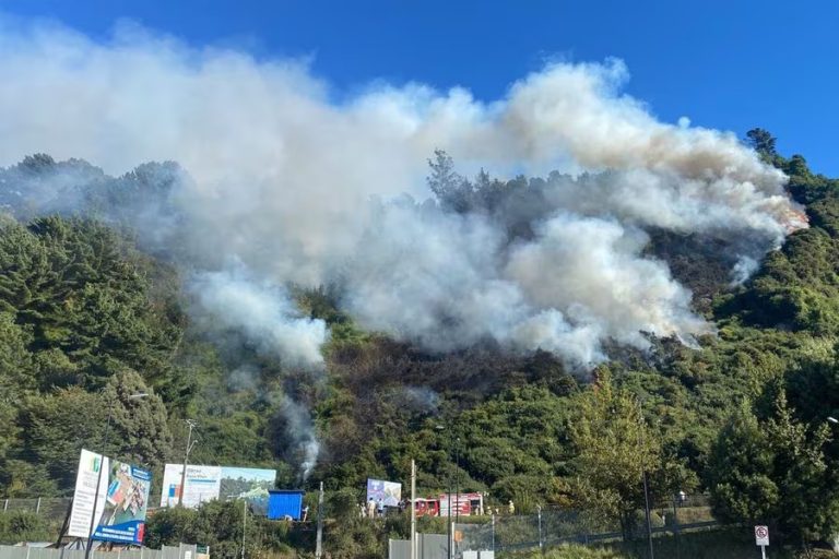 Fiscalía confirma la detención de imputados como autores del incendio forestal en Niebla
