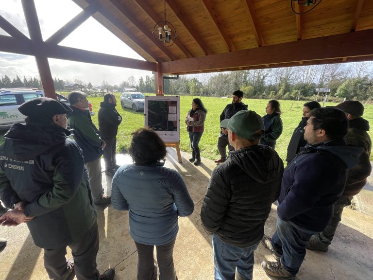 Conmemoran el Día Mundial de Lucha contra la Desertificación y la Sequía