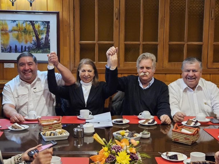 Chile Vamos proclama a su candidata para alcalde de La Unión