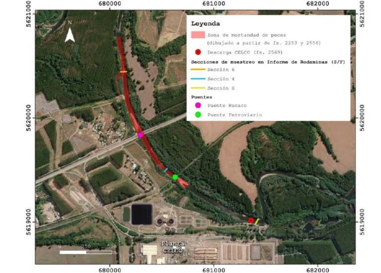 Tribunal Ambiental rechazó demanda por daño ambiental del Consejo de Defensa del Estado contra Celulosa Arauco