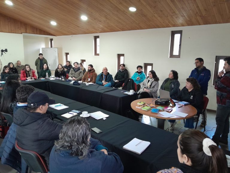 La economía creativa regional tuvo su cita en La Unión