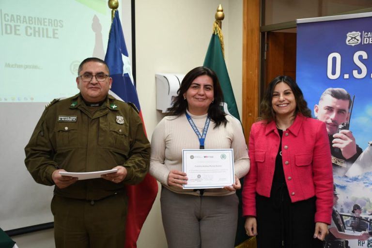 Carabineros capacitaron a inspectores municipales de la región