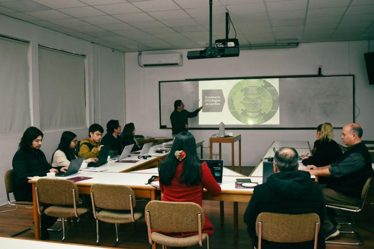 CER UACh avanza en propuesta para el diseño de la Estrategia CTCI Los Ríos