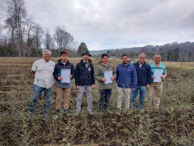 Viveros comunitarios colaboran para fortalecer su trabajo en la región y aportar al medio ambiente y al bienestar