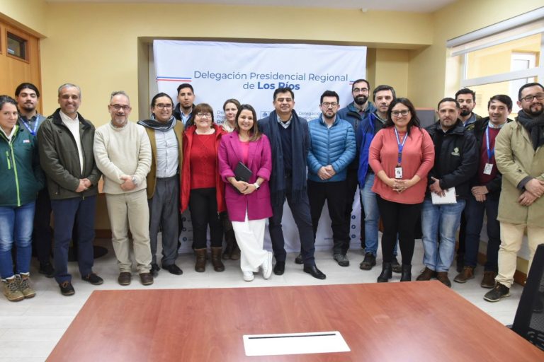 Mesa de Humedales ha planificado nuevas medidas para recuperar los humedales intervenidos ilegalmente en Valdivia