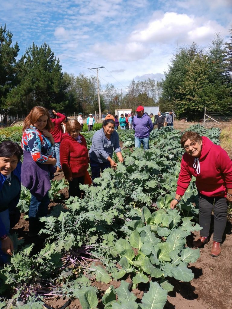 Cambio climático: seminario aborda alternativas productivas y de capacitación de mujeres en agro regional