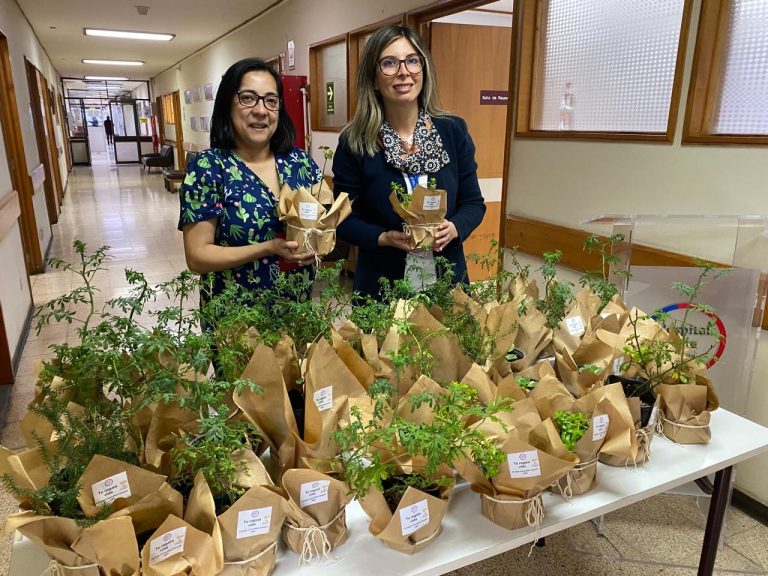 Consejo Consultivo de Usuarios del HBV aportó plantas medicinales y ornamentales para cuidado de los pacientes