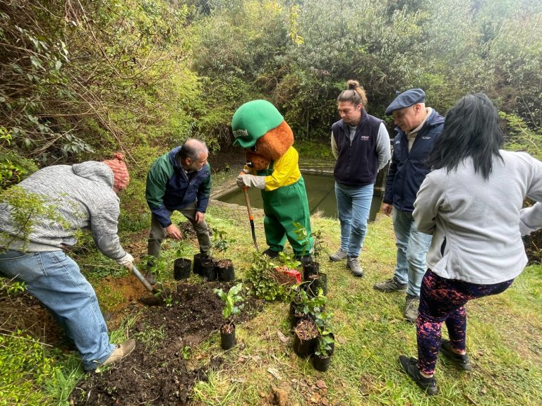 Entregaron 300 plantas nativas a APR de La Aguada para la protección de sus cuencas de agua
