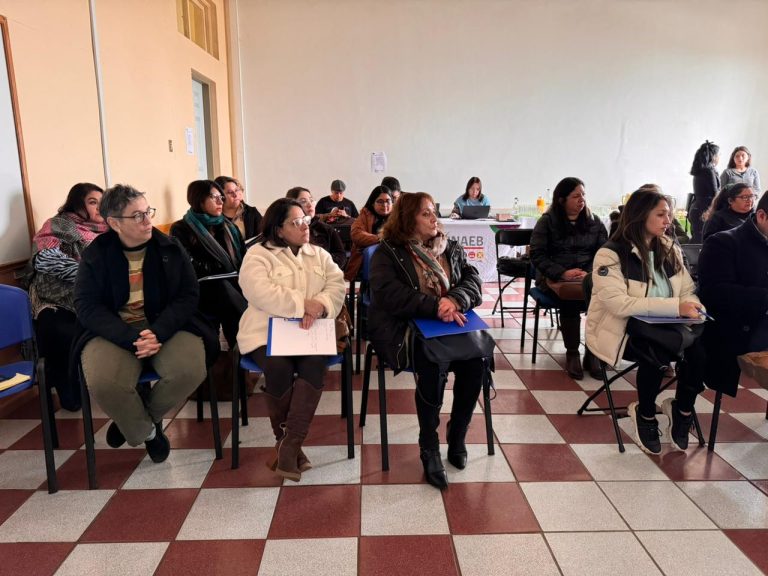 Se realizó seminario Sembrando Inclusión en las Comunidades Educativas de Junaeb