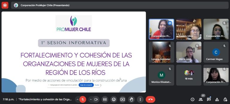 Organizaciones de Mujeres se reúnen para fortalecer su cohesión y  co-construir una propuesta temática de Género