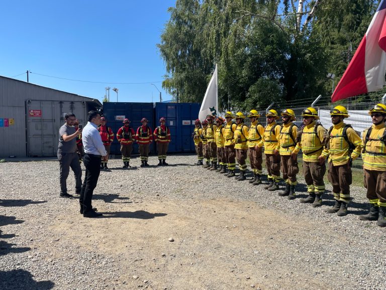 CONAF abrió proceso de inscripción para ser brigadista