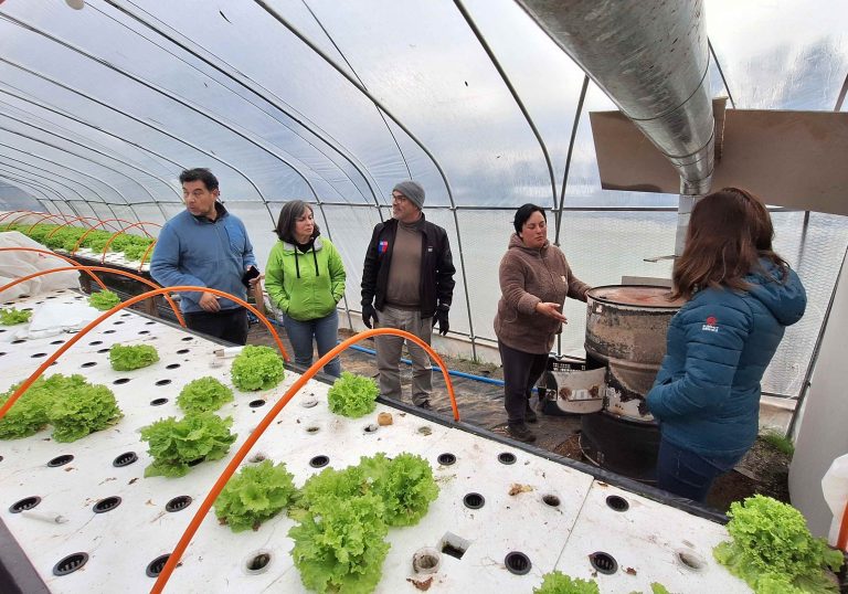 Agrupación Hidro Hortalizas de Máfil recibe apoyo del FOSIS para fortalecer su trabajo asociativo