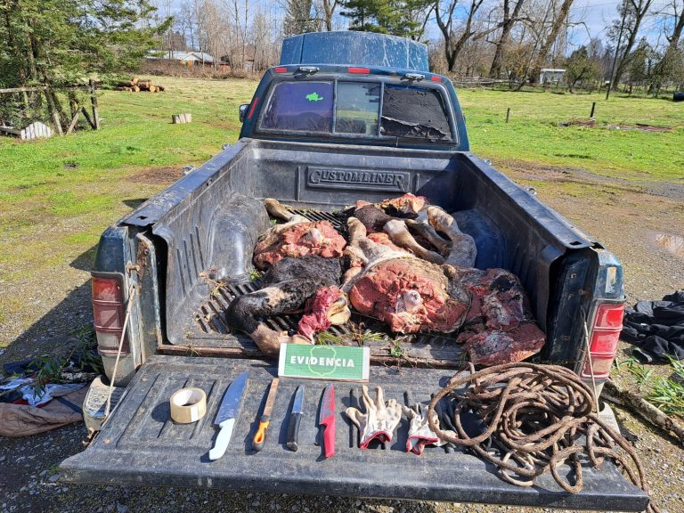 Detenidos por robo con intimidación, secuestro y abigeato