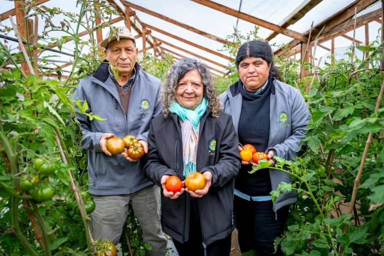 INDAP presenta nuevo instrumento financiero: Línea de Crédito para empresas asociativas campesinas