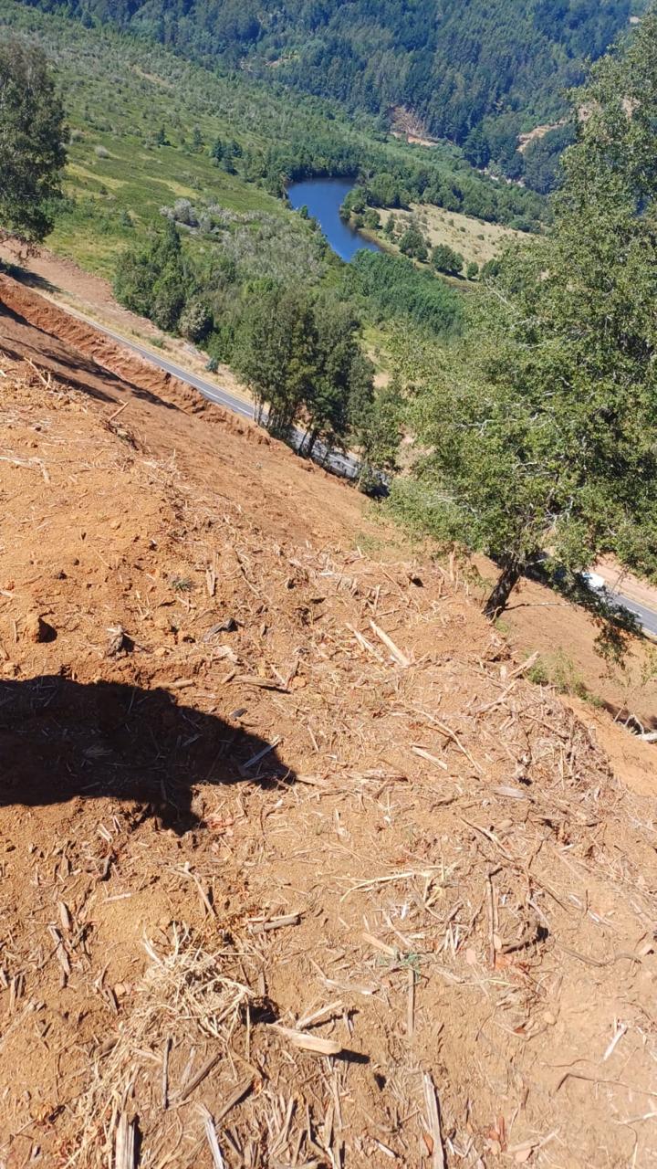 CONAF implementa nuevo proceso de Fiscalización Oportuna para la protección de los ecosistemas boscosos