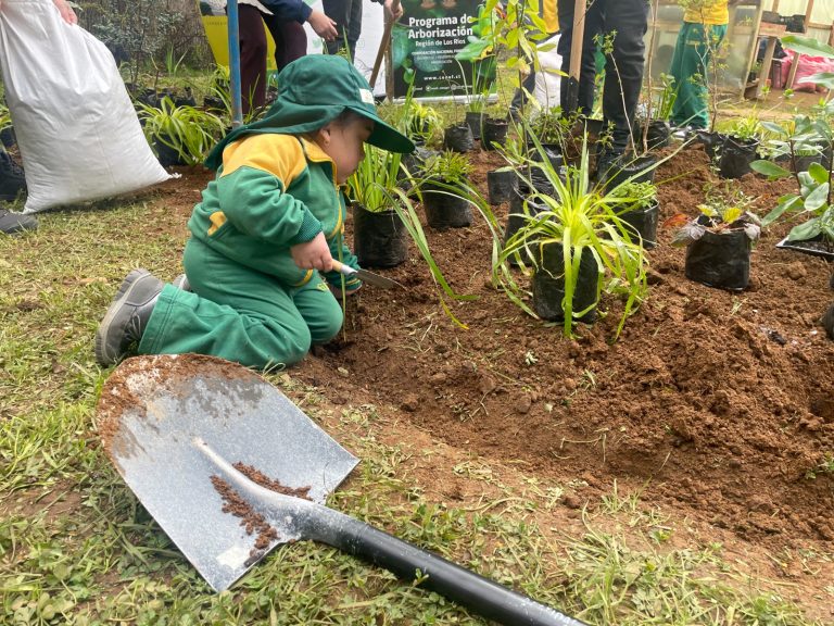 Escuela El Bosque será pionera en producción de plantas nativas