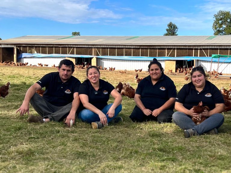 Avícola de La Unión se transforma en la más grande del sur de Chile