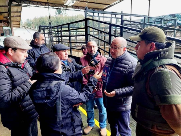 Delegado del Ranco lidera plan de control y prevención del Abigeato en Feria Ganaderos de Río Bueno