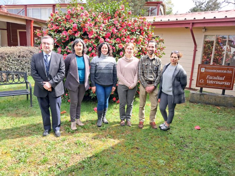 Por ocho años CNA acreditó al Doctorado en Ciencias Veterinarias UACh