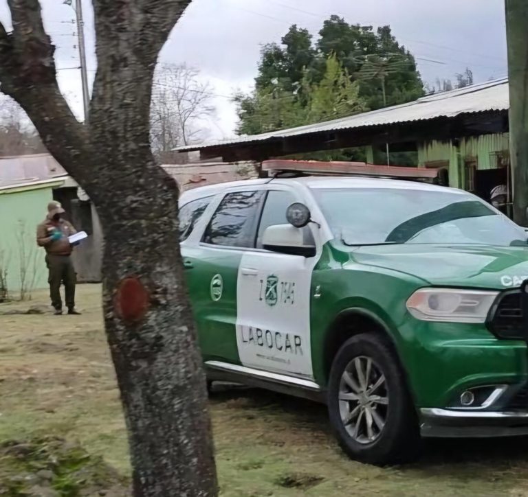 Carabineros detienen al autor de mortal atropello en Mashue