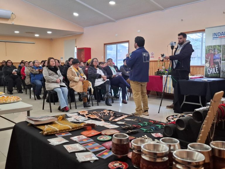 Ferias Libres de Lanco se adjudicaron fondos de fortalecimiento de Sercotec