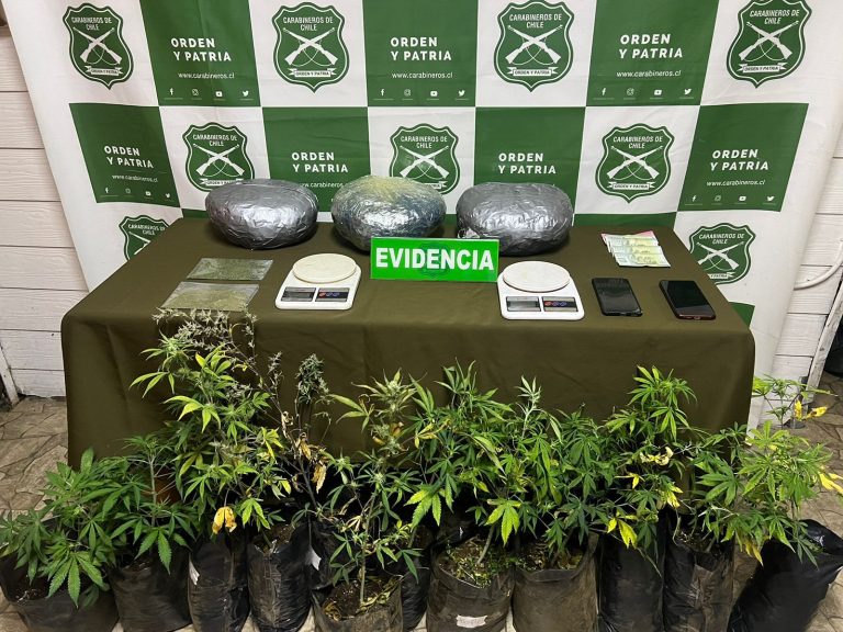 Carabineros del OS7 decomisó más de 3 kilos de marihuana