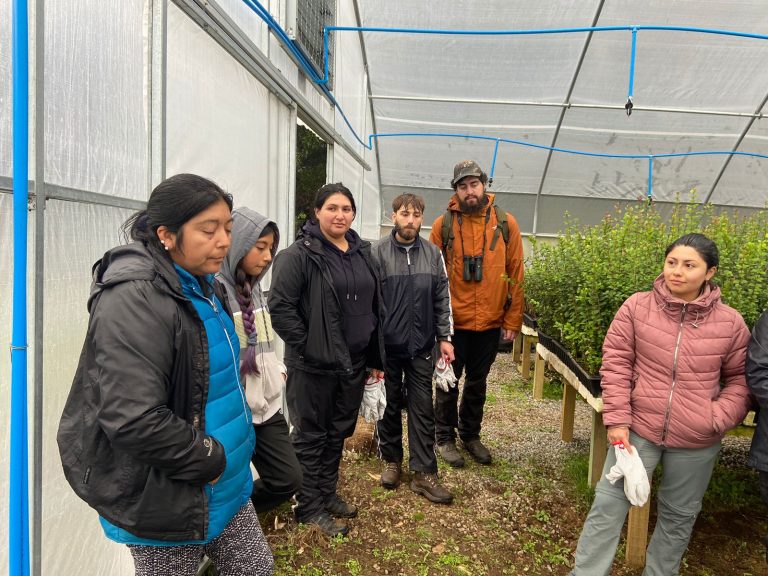 Programa de Honor de la UACh profundiza conocimientos en Medio Ambiente, Sociedad y Cambio Climático