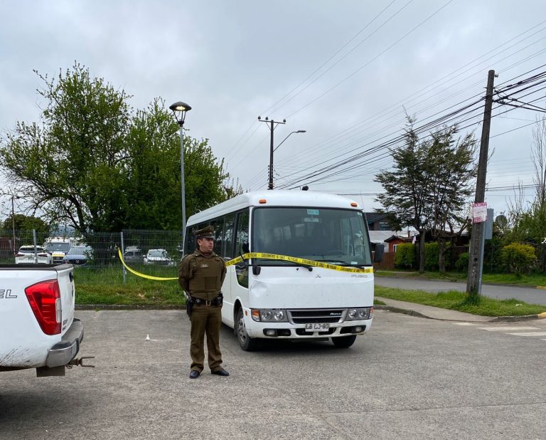 Carabineros investiga fatal atropello en Futrono: peatón fallece tras ser impactado por bus en la Ruta T-645