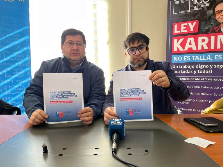 En agosto la Ley Karin en Los Ríos registró 29 atenciones psicológicas tempranas y 167 denuncias