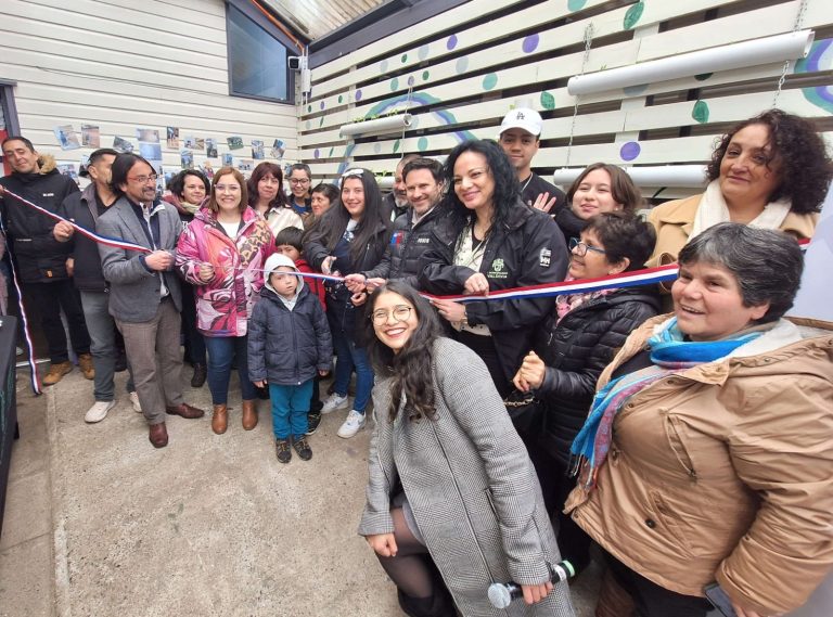 Ecomercado Solidario de Valdivia implementó huerto vertical