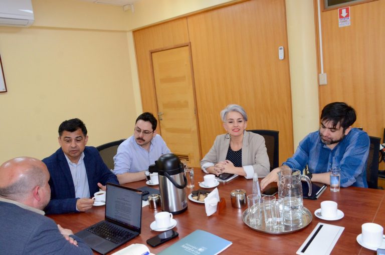 Comité de seguimiento se reunió con rector de la Universidad Austral de Chile