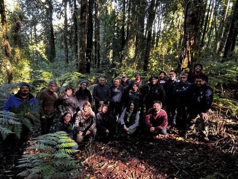 Funcionarios de CONAF fueron capacitados en Ordenación Forestal