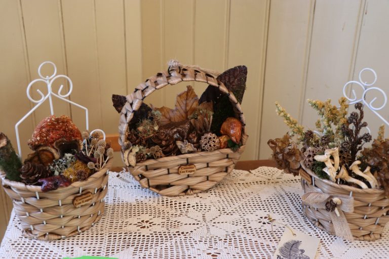 Exposición de artistas laguinas fue inaugurada en el Centro Cultural Estación Collilelfu