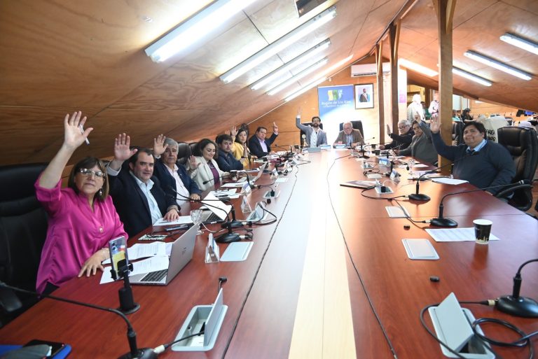 CORE aprobó recursos para tercer Cabildo de Seguridad Ciudadana en la región