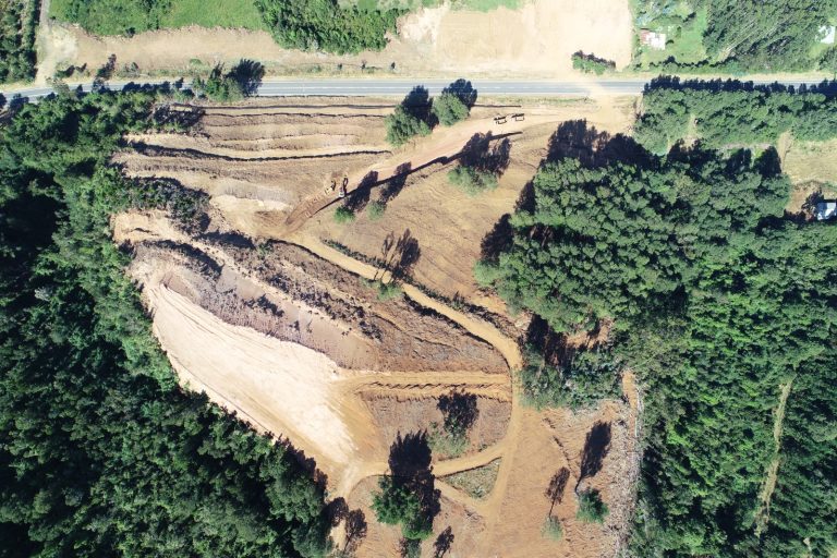 Ratifican condena por tala ilegal y ordenan reforestación en proyecto inmobiliario de Mariquina