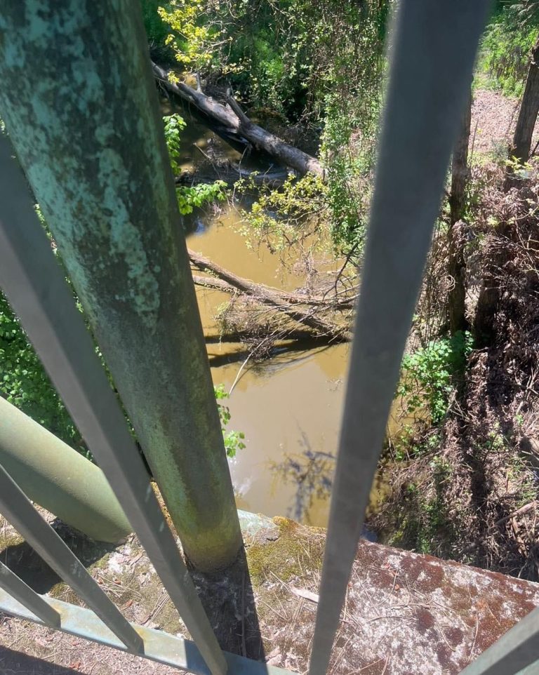 Denuncian contaminación en el estero Radimadi