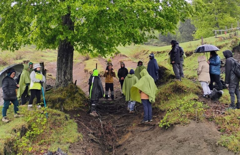 Curso de restauración de bosques y agua se realizó con éxito en Liquiñe